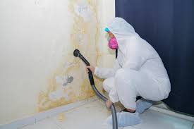 Best Commercial Mold Inspection in Calverton, MD